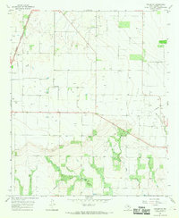 Download a high-resolution, GPS-compatible USGS topo map for Pinkerton, TX (1969 edition)