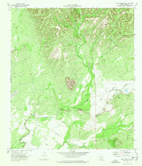 Download a high-resolution, GPS-compatible USGS topo map for Pinto Mountain, TX (1976 edition)