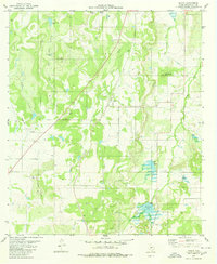 Download a high-resolution, GPS-compatible USGS topo map for Placid, TX (1980 edition)