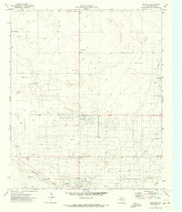 Download a high-resolution, GPS-compatible USGS topo map for Plains SE, TX (1973 edition)