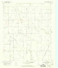 Download a high-resolution, GPS-compatible USGS topo map for Plainview SE, TX (1970 edition)