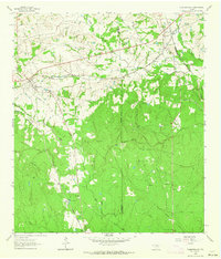 Download a high-resolution, GPS-compatible USGS topo map for Plantersville, TX (1964 edition)
