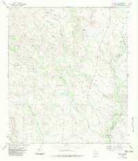 Download a high-resolution, GPS-compatible USGS topo map for Plata NE, TX (1983 edition)