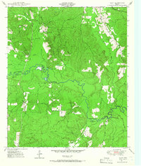 Download a high-resolution, GPS-compatible USGS topo map for Platt, TX (1966 edition)