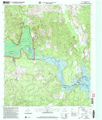 Download a high-resolution, GPS-compatible USGS topo map for Platt, TX (2004 edition)