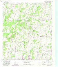 Download a high-resolution, GPS-compatible USGS topo map for Pleasant Grove, TX (1980 edition)
