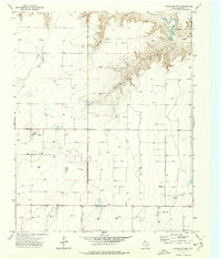 Download a high-resolution, GPS-compatible USGS topo map for Pleasure Pond, TX (1977 edition)