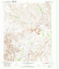 Download a high-resolution, GPS-compatible USGS topo map for Plemons, TX (1979 edition)