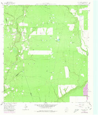 Download a high-resolution, GPS-compatible USGS topo map for Plum Grove, TX (1980 edition)
