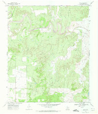 Download a high-resolution, GPS-compatible USGS topo map for Polar, TX (1972 edition)