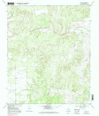 Download a high-resolution, GPS-compatible USGS topo map for Polar, TX (1999 edition)