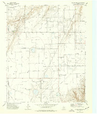 preview thumbnail of historical topo map of Hutchinson County, TX in 1974
