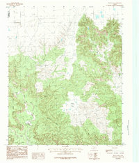 Download a high-resolution, GPS-compatible USGS topo map for Pony Flats, TX (1984 edition)