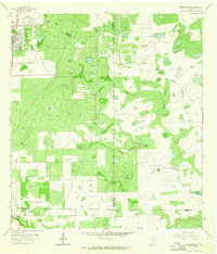 Download a high-resolution, GPS-compatible USGS topo map for Premont East, TX (1964 edition)