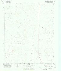 Download a high-resolution, GPS-compatible USGS topo map for Pritchard Ranch, TX (1976 edition)