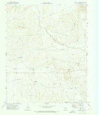 Download a high-resolution, GPS-compatible USGS topo map for Proctor Ranch, TX (1973 edition)