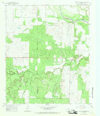 Download a high-resolution, GPS-compatible USGS topo map for Proffitt Crossing, TX (1969 edition)