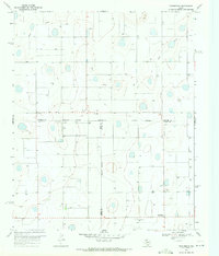 preview thumbnail of historical topo map of Swisher County, TX in 1969