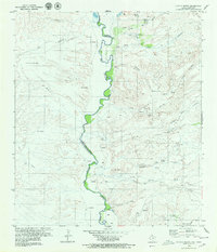 Download a high-resolution, GPS-compatible USGS topo map for Pueblo Nuevo, TX (1980 edition)