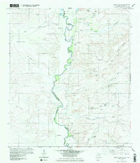 Download a high-resolution, GPS-compatible USGS topo map for Pueblo Nuevo, TX (1980 edition)