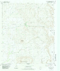 Download a high-resolution, GPS-compatible USGS topo map for Puerto Potrillo, TX (1984 edition)