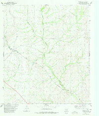 Download a high-resolution, GPS-compatible USGS topo map for Pumpville, TX (1980 edition)