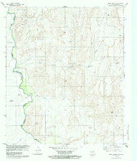 Download a high-resolution, GPS-compatible USGS topo map for Quinn Creek, TX (1979 edition)