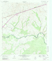 Download a high-resolution, GPS-compatible USGS topo map for Quito Draw, TX (1981 edition)