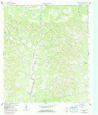 Download a high-resolution, GPS-compatible USGS topo map for Rafter Hollow, TX (1992 edition)