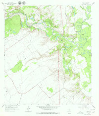 Download a high-resolution, GPS-compatible USGS topo map for Raisin, TX (1979 edition)