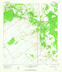 Download a high-resolution, GPS-compatible USGS topo map for Raisin, TX (1964 edition)