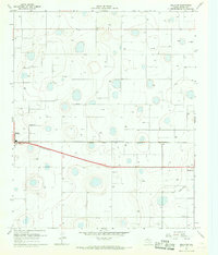 Download a high-resolution, GPS-compatible USGS topo map for Ralls NE, TX (1968 edition)