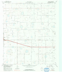Download a high-resolution, GPS-compatible USGS topo map for Ralls NE, TX (1982 edition)