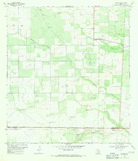 Download a high-resolution, GPS-compatible USGS topo map for Ramirez, TX (1971 edition)