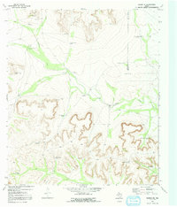 Download a high-resolution, GPS-compatible USGS topo map for Ranskin SE, TX (1991 edition)