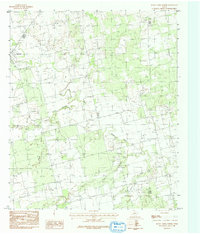 Download a high-resolution, GPS-compatible USGS topo map for Raven Creek North, TX (1992 edition)