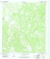 Download a high-resolution, GPS-compatible USGS topo map for Ray Lake NW, TX (1987 edition)