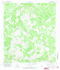 Download a high-resolution, GPS-compatible USGS topo map for Ray Lake SE, TX (1973 edition)