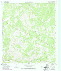 Download a high-resolution, GPS-compatible USGS topo map for Ray Lake SE, TX (1987 edition)