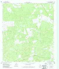 Download a high-resolution, GPS-compatible USGS topo map for Ray Lake SW, TX (1987 edition)