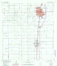 Download a high-resolution, GPS-compatible USGS topo map for Raymondville, TX (1984 edition)