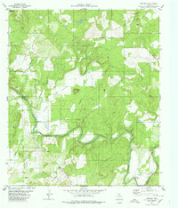Download a high-resolution, GPS-compatible USGS topo map for Regency, TX (1980 edition)