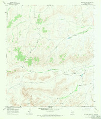 Download a high-resolution, GPS-compatible USGS topo map for Reininger Draw, TX (1971 edition)