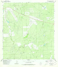 Download a high-resolution, GPS-compatible USGS topo map for Retama Creek, TX (1980 edition)