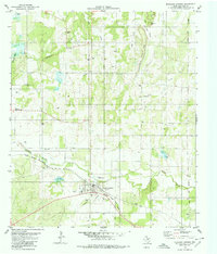 Download a high-resolution, GPS-compatible USGS topo map for Richland Springs, TX (1980 edition)