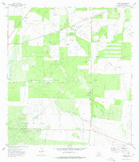 preview thumbnail of historical topo map of Starr County, TX in 1972