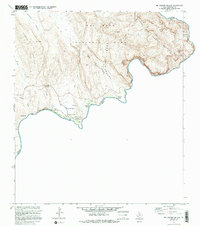 Download a high-resolution, GPS-compatible USGS topo map for Rio Grande Village, TX (1995 edition)