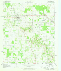 Download a high-resolution, GPS-compatible USGS topo map for Rising Star, TX (1968 edition)