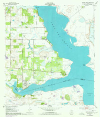 Download a high-resolution, GPS-compatible USGS topo map for Riviera Beach, TX (1977 edition)