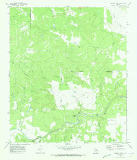 Download a high-resolution, GPS-compatible USGS topo map for Robbers Roost, TX (1973 edition)